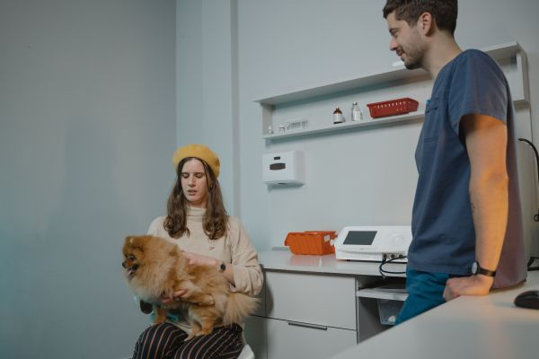 Comment savoir si mon chien a besoin d'une consultation vétérinaire urgente ?